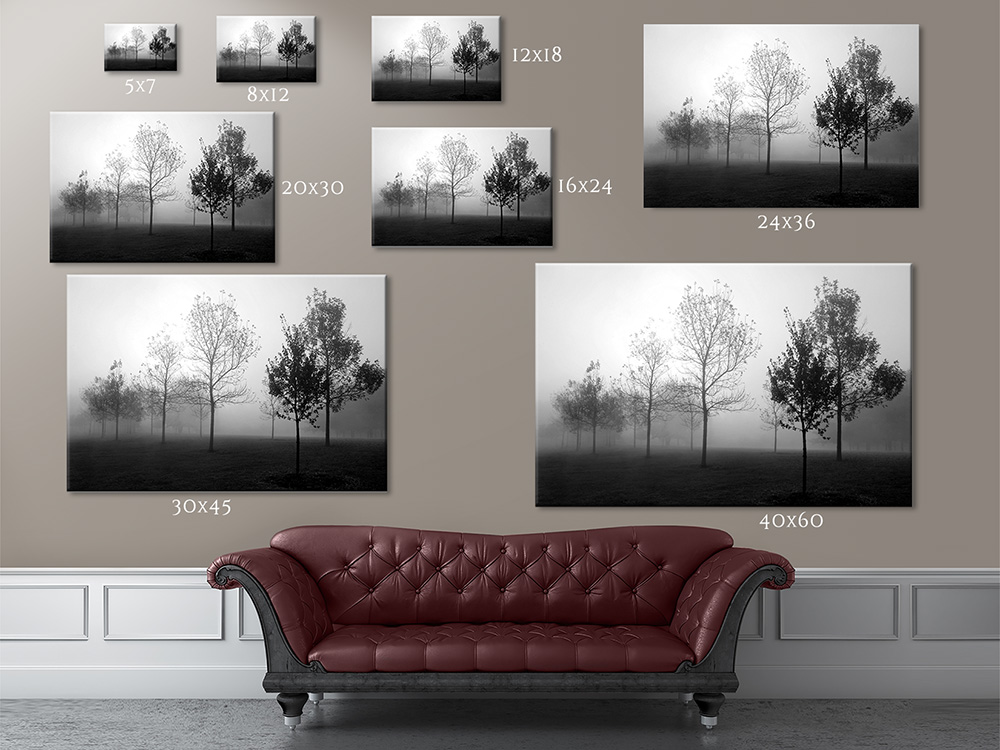 Print Sizes And Prices Cleary Fine Art Photography