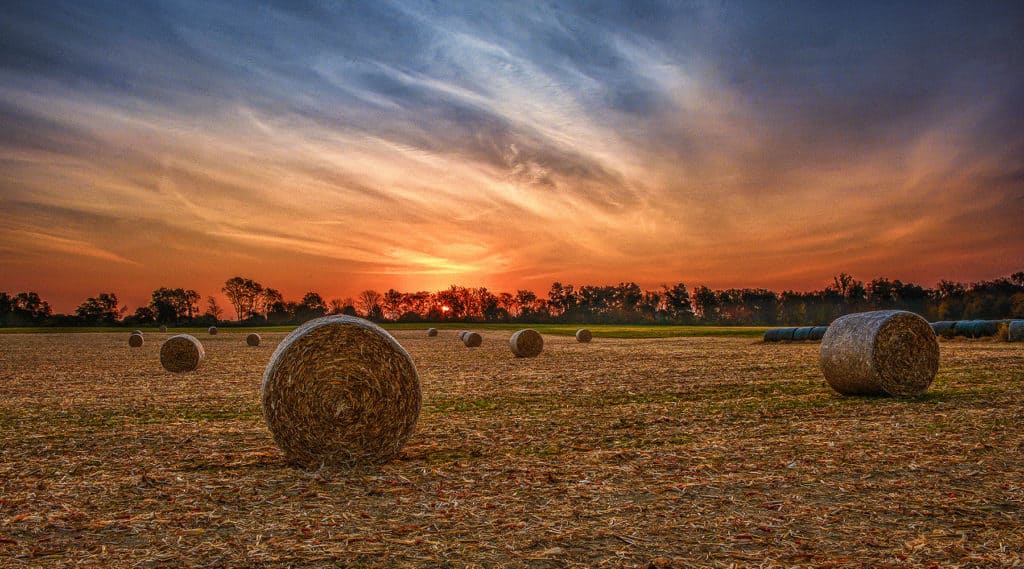 Sunrise In Miami County Ohio by Dan Cleary of Cleary Creative Photography