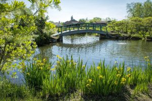 Cox Arboretum and Monet's bridge in Miamisburg Ohio By Dan Cleary