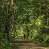 Woman walking in Englewood Ohio park by Dan Cleary