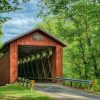 Charleston Mill covered bridge Green County Ohio by Dan Cleary