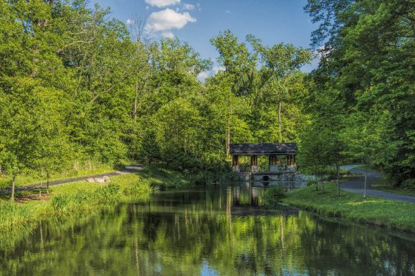 Kettering Hills & Dales park and pond by Dan Cleary