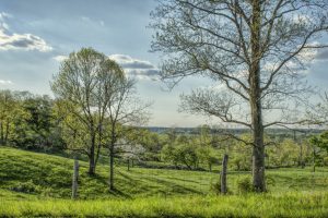 Ohio country landscape by Dan Cleary