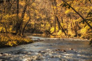Little Miami river in fall at John Bryan park Yellow Springs by Dan Cleary