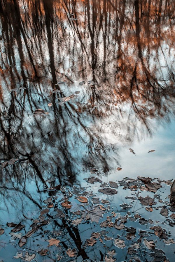 Reflection in Miami river Yellow Springs by Dan Cleary