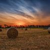sunrise farm field Miami County Ohio by Dan Cleary