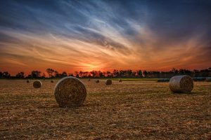 sunrise farm field Miami County Ohio by Dan Cleary
