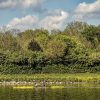 Kayaker on Great Miami River Ohio by Dan Cleary