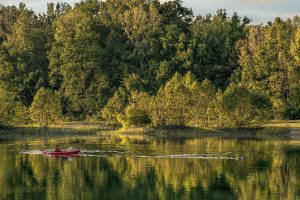 Kayaker on lake in Englewood Ohio by Dan Cleary