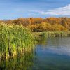 lake and fall trees by Dan Cleary