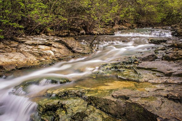 Farmington Reserve in Miami County Ohio by Dan Cleary