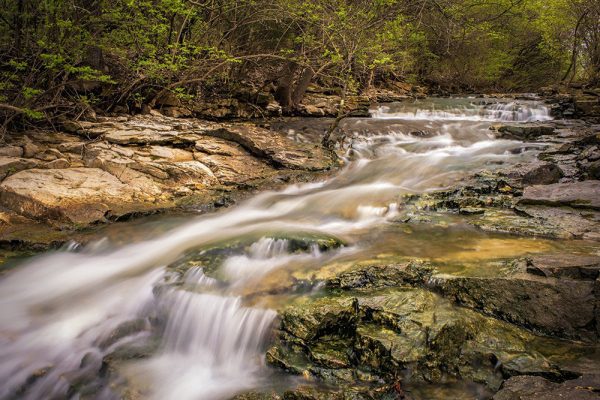 Farmington Reserve in Miami County Ohio by Dan Cleary