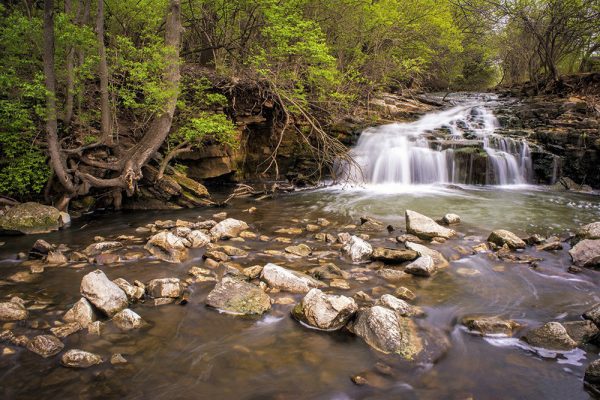 Farmington Reserve in Miami County Ohio by Dan Cleary