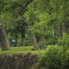 Bike Rider on Great Miami River bike trail by Dan Cleary