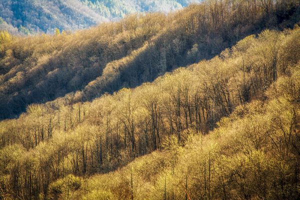 Great Smokey Mountains at fall by Dan Cleary in Dayton Ohio