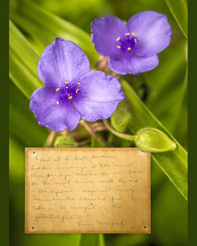 Purple flowers with hand written note card by Dan Cleary