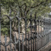 Iron Fence At The Ohio Statehouse by Dan Cleary