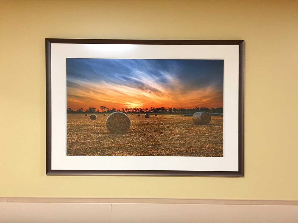 photograph of sunrise at corn field on display at hospital by Dan Cleary of Cleary Creative Photography in Dayton Ohio